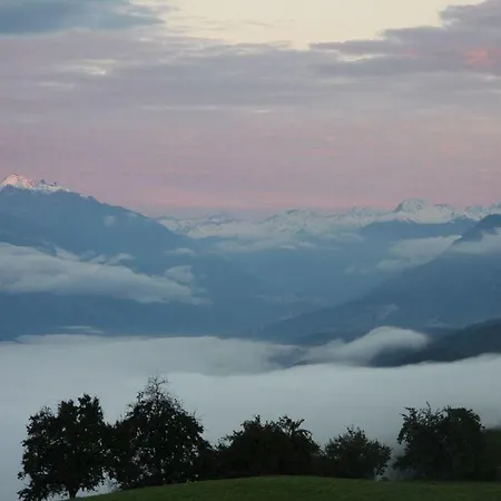 Alpenrose
